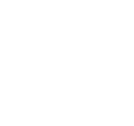 Escudo de Armas de Cancún en blanco